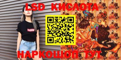 СК Кандалакша