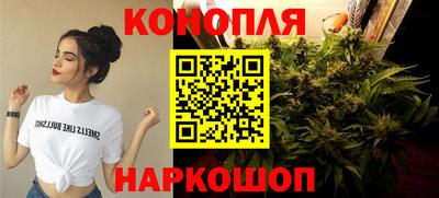 СК Кандалакша