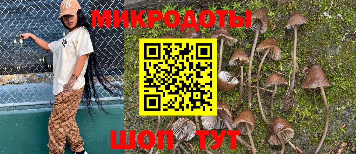 купить наркотики цена  Галлюциногенные грибы GOLDEN TEACHER  Вход с VPN  Лесной 