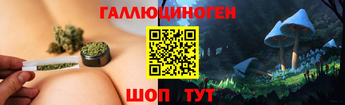 Галлюциногенные грибы Psilocybine cubensis Лесной